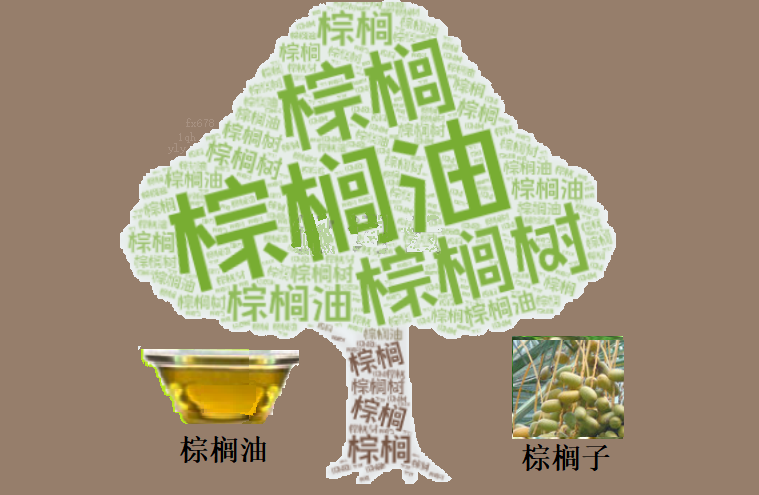 马棕榈油期货三月开局强劲，原油与豆油行情形成核心支撑(图1)
